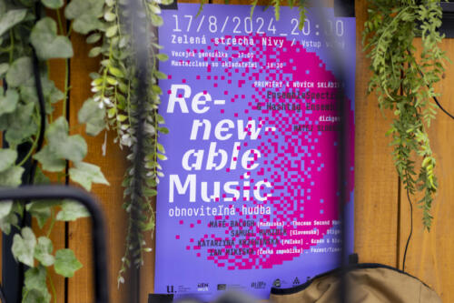 2024-08-17 remus renewable music 028 foto zdenko hanout