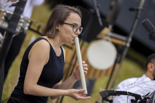2024-08-17 remus renewable music 141 foto zdenko hanout