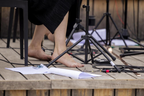 2024-08-17 remus renewable music 164 foto zdenko hanout