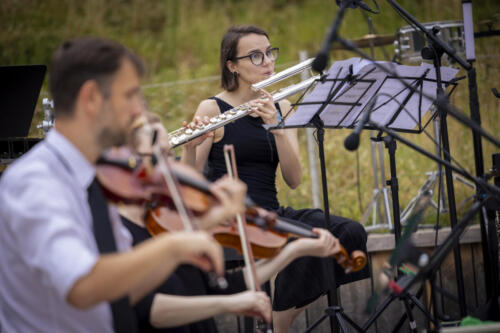 Zelená strecha Nivy – Renewable Music